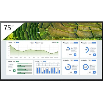 Sony Bravia FW-75BZ30L