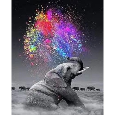 Слонче 25/30 см