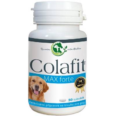 Colafit Max Forte tob 50