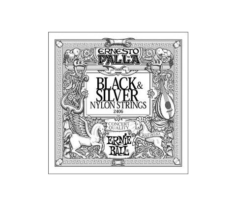 Ernie Ball 2406