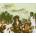 Nneka - Beautiful CD