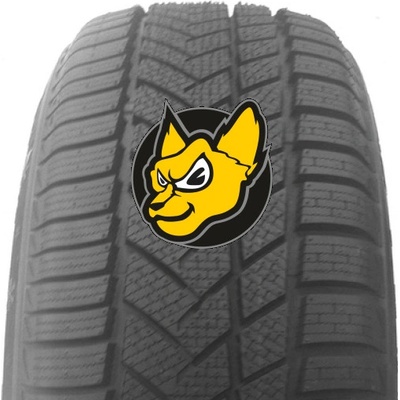 Autogreen Winter Max A1-WL5 205/50 R17 93V