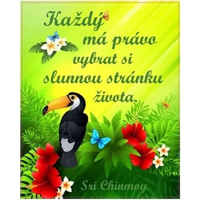 Plechová cedulka Každý má právo