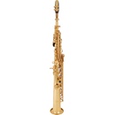 Bacio Instruments BSS-100