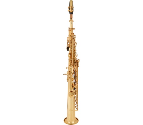 Bacio Instruments BSS-100