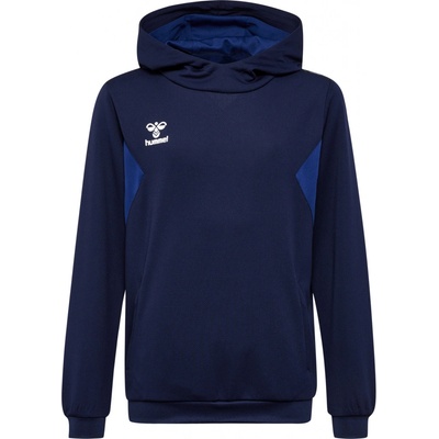 Hummel HML Authentic Pl Hoodie Kids 219977-7026