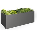 Biohort Zvýšený truhlík na zeleninu 2x1 tmavě šedá metalíza