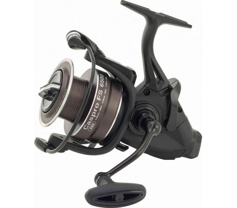 Ryobi Caspro FS 6500