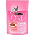 ONE Junior Mini Filé salmon & carrot in sauce 85 g