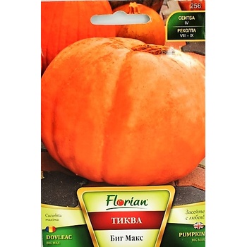 Флориан Тиква Биг Макс - гигант