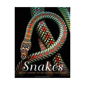 Snakes: From Vipers to Boa Constrictors | Julianna Photopoulos (ISBN: 9781838862848)