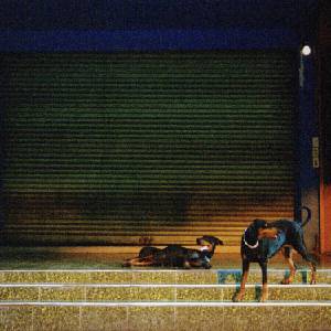 Overmono - Pure Devotion (CD) (0191404166826)