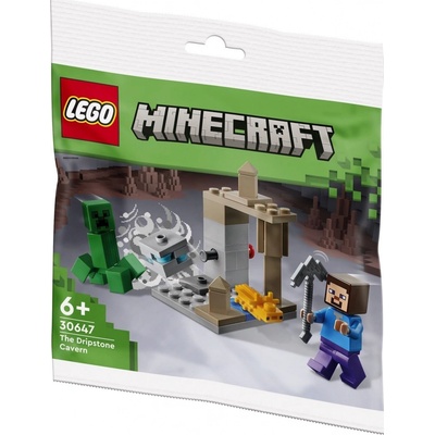 LEGO® Minecraft 30647 Kvapkacia jaskyňa