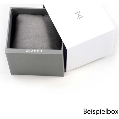 Skagen SKW6434