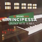 Soundiron Principessa (Дигитален продукт)