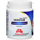 Doplňky stravy Superionherbs Hericium Erinaceus Extrakt 90 kapslí