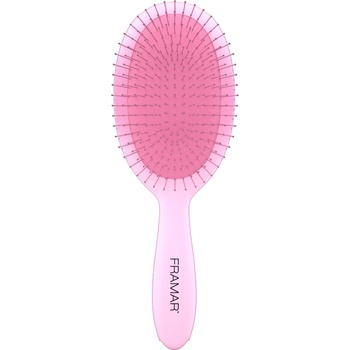 Framar Detangle Brush Aurascope