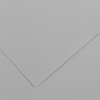 Canson Colorline 50x65 cm Light Grey 35 150 g Цветна хартия (C200041411)