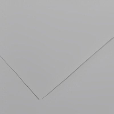 Canson Colorline 50x65 cm Light Grey 35 150 g Цветна хартия (C200041411)