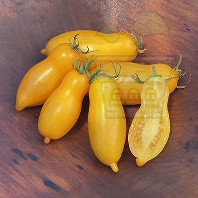Семена от домати сорт "Бананови Крачета" (Banana Legs / Yellow Pepper) 15бр (293151)