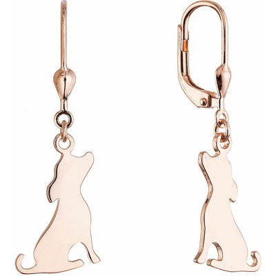 Evolution Group Pozlacené stříbrné náušnice psi 61130 rose gold