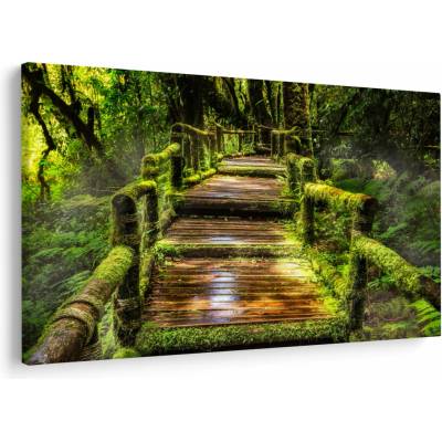 Obraz schodů v deštném pralese, jednodílný 120x80 cm