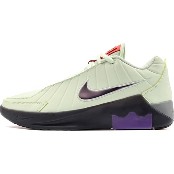 Nike Lebron Witness IX