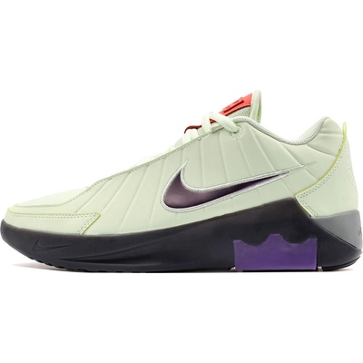 Nike Lebron Witness IX