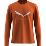 Salewa Мъжка спортна тениска Salewa Solidlogo Dry L/S Tee Longsleeve - Bombay Brown (016-6289-1311)