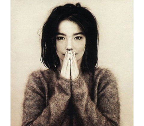 Debut - Bjork LP
