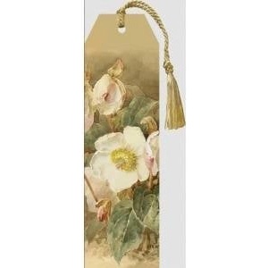 Skona Ting Zladka 101 with insert Hellebore white
