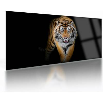 Sklenený obraz - Tiger, jednodielne 100x50 cm na skle