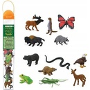 Safari Ltd. Tuba V lese