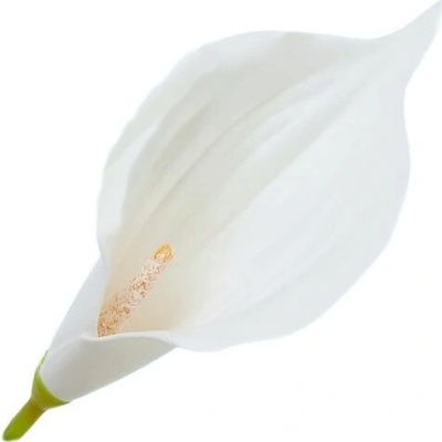 Umelá kala biela 16 cm