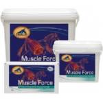 Cavalor За ускорено натрупване на мускулна маса Cavalor Muscle Force/Build 2kg (VW472535)