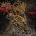 Cattle Decapitation - Death Atlas (CD) (0039841568325)