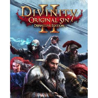 Divinity: Original Sins 2 (Definitive Edition)