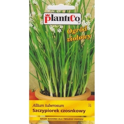 Cesnaková pažítka 1 g