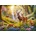 Cherry Pazzi - Puzzle The Forest Heart - 500 piese