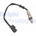 Lambda sonda DELPHI ES20356-12B1