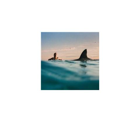 LIPA, DUA - RADICAL OPTIMISM LP