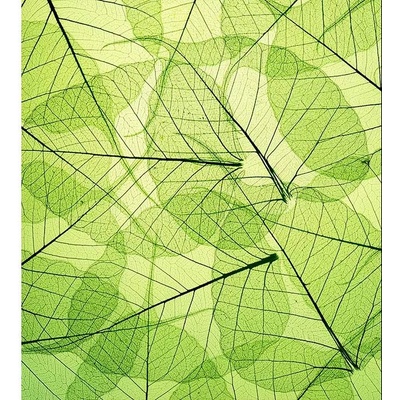 Dimex MS-3-0111 vliesová fototapeta rozměry 225 x 250 cm