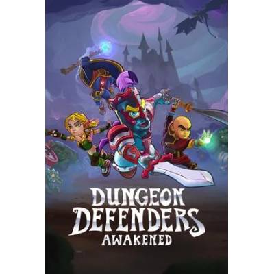 Игра Dungeon Defenders: Awakened за PC Steam, Електронна доставка