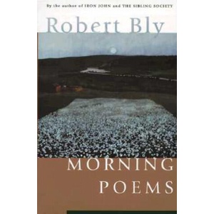 Morning Poems | Robert W. Bly (ISBN: 9780060928735)