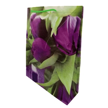 Image 1 of Cangnan Color Bag Co. , Ltd Подаръчни торбички 38 х 30 см. М18-101