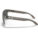 Image 1 of Oakley Holbrook OO9102-O2