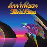 Warner Wilson Ann: Fierce Bliss - Vinyl (LP) (048461)