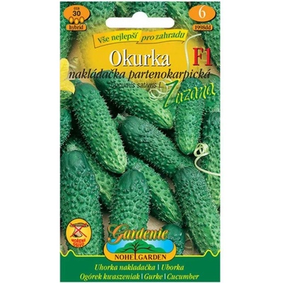 Okurka nakládačka Zuzana F1 Cucumis sativus semena okurky 30 ks