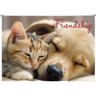 PANTA PLAST Obal na zips A4 "Friendship"