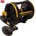 Penn Squall LD 60